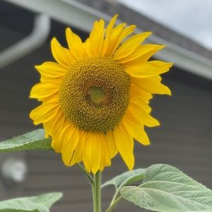 Meet your Posher, Jaideep